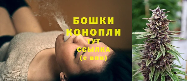трава Алзамай